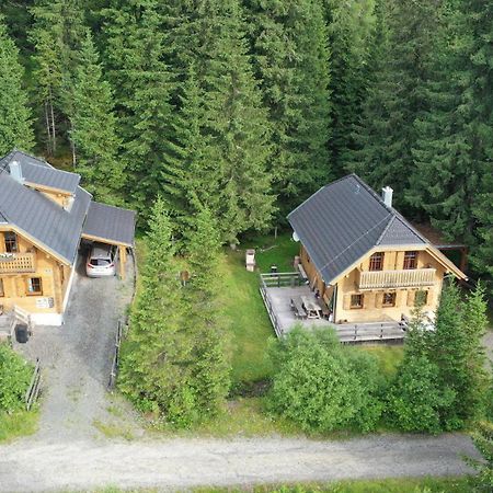 Almhaus & Almchalet Flattnitz Exterior photo